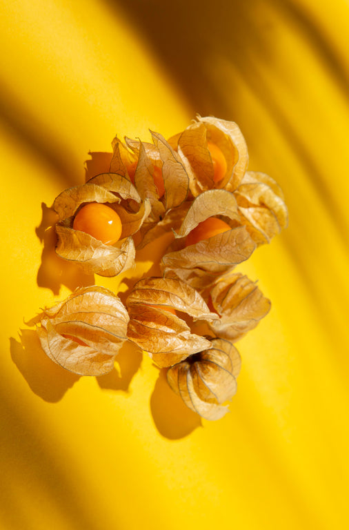 Physalis - 100 Gramas