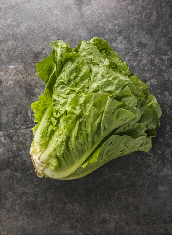 Escarola - 1 Unidade