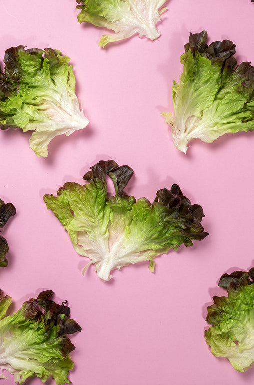 Alface Roxa - 1 Unidade