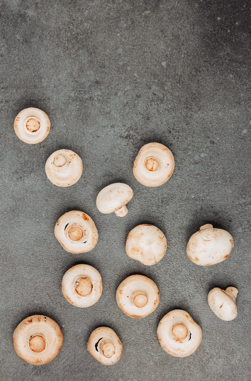 Cogumelo Paris - 250 Gramas